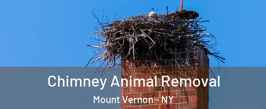  Chimney Animal Removal Mount Vernon - NY