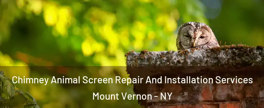  Chimney Animal Screen Repair And Installation Services Mount Vernon - NY