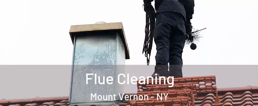  Flue Cleaning Mount Vernon - NY