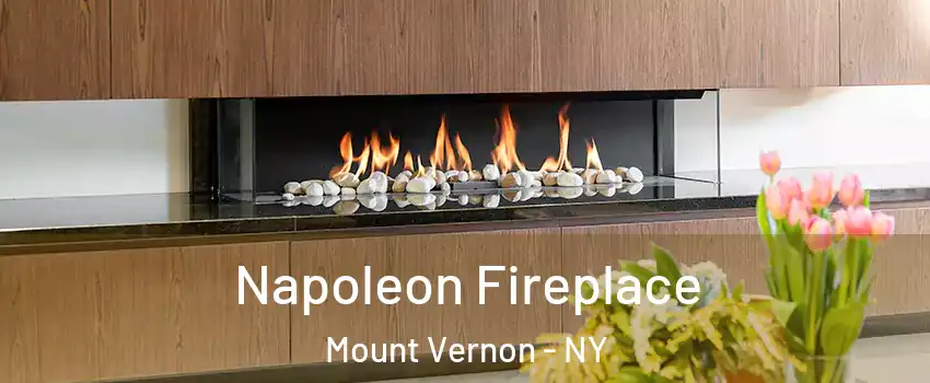  Napoleon Fireplace Mount Vernon - NY